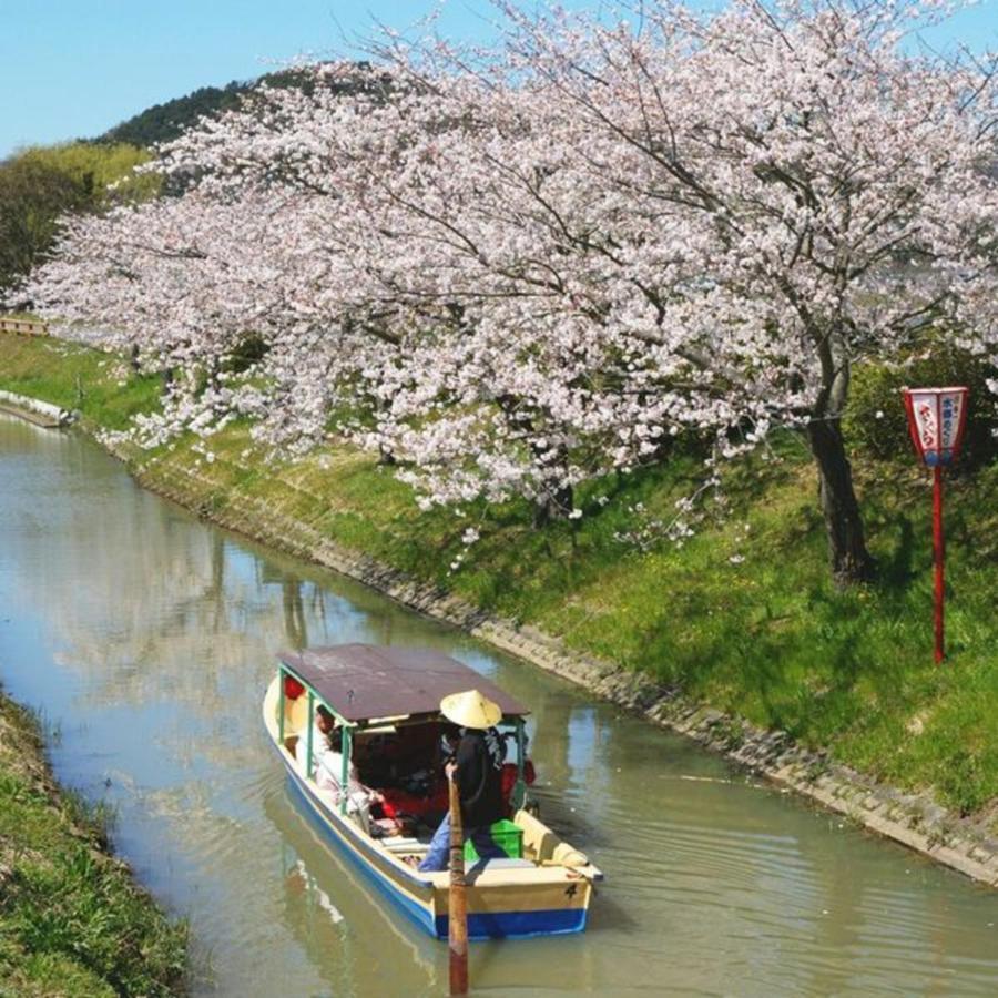 Kyukamura Ohmi-Hachiman 近江八幡市 外观 照片